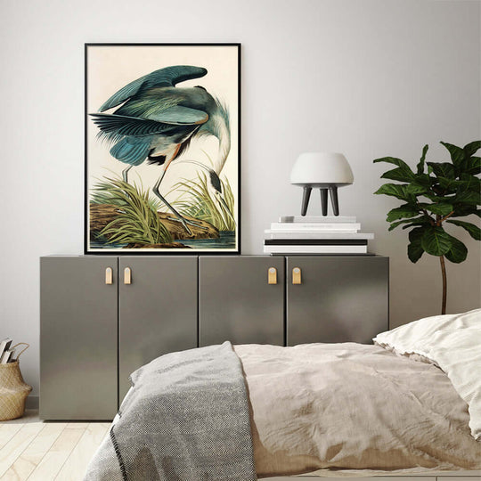 _label_, DSZ Product, feed-cond-new, feed-sl-free shipping, free-shipping, newWall Art 50Cm X 70Cm Great Blue Heron By John James Audubon Black Frame Canvas - Premium Home & Garden > Wall Art > 3D Wall Art from Artime ! Shop Online Buy Now at S & D's Value Store Family Business Best Customer Service_label_, DSZ Product, feed-cond-new, feed-sl-free shipping, free-shipping, new