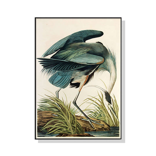 _label_, DSZ Product, feed-cond-new, feed-sl-free shipping, free-shipping, newWall Art 60Cm X 90Cm Great Blue Heron By John James Audubon Black Frame Canvas - Premium Home & Garden > Wall Art > Posters, Paintings & Prints from Artime ! Shop Online Buy Now at S & D's Value Store Family Business Best Customer Service_label_, DSZ Product, feed-cond-new, feed-sl-free shipping, free-shipping, new