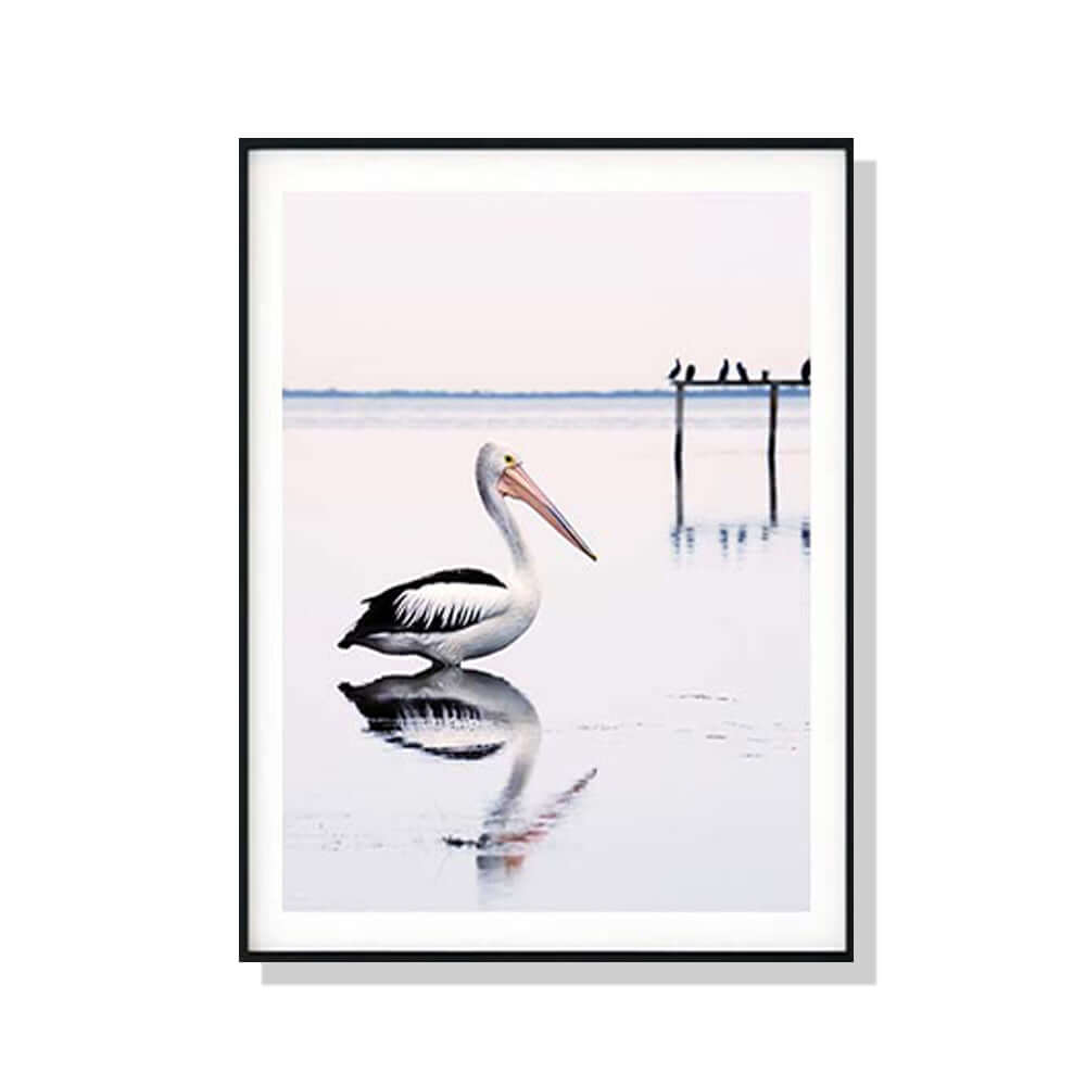 _label_, DSZ Product, feed-cond-new, feed-sl-free shipping, free-shipping, newWall Art 70Cm X 100Cm Pelican Black Frame Canvas - Premium Home & Garden > Wall Art > Posters, Paintings & Prints from Artime ! Shop Online Buy Now at S & D's Value Store Family Business Best Customer Service_label_, DSZ Product, feed-cond-new, feed-sl-free shipping, free-shipping, new