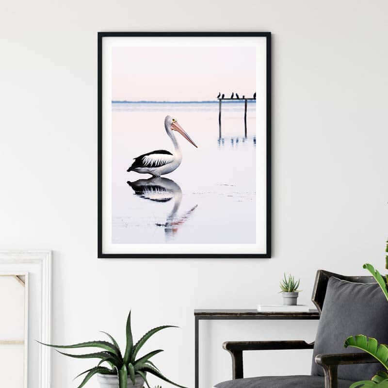 _label_, DSZ Product, feed-cond-new, feed-sl-free shipping, free-shipping, newWall Art 70Cm X 100Cm Pelican Black Frame Canvas - Premium Home & Garden > Wall Art > Posters, Paintings & Prints from Artime ! Shop Online Buy Now at S & D's Value Store Family Business Best Customer Service_label_, DSZ Product, feed-cond-new, feed-sl-free shipping, free-shipping, new