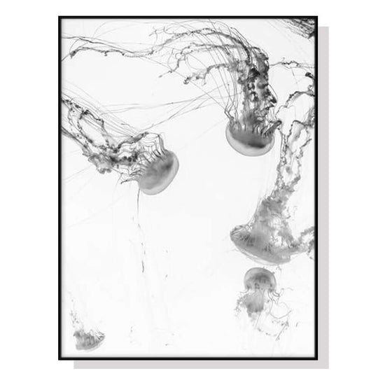 _label_, DSZ Product, feed-cond-new, feed-sl-free shipping, free-shipping, newWall Art 50Cm X 70Cm Jellyfish Black Frame Canvas - Premium Home & Garden > Hobbies > Arts & Crafts from Artime ! Shop Online Buy Now at S & D's Value Store Family Business Best Customer Service_label_, DSZ Product, feed-cond-new, feed-sl-free shipping, free-shipping, new