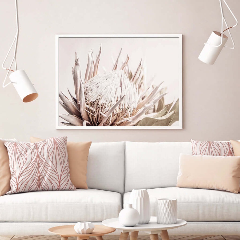 _label_, DSZ Product, feed-cond-new, feed-sl-free shipping, free-shipping, newWall Art 50Cm X 70Cm Pure Protea Ii White Frame Canvas - Premium Home & Garden > Wall Art > Posters, Paintings & Prints from Artime ! Shop Online Buy Now at S & D's Value Store Family Business Best Customer Service_label_, DSZ Product, feed-cond-new, feed-sl-free shipping, free-shipping, new