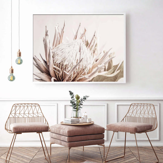 _label_, DSZ Product, feed-cond-new, feed-sl-free shipping, free-shipping, newWall Art 50Cm X 70Cm Pure Protea Ii White Frame Canvas - Premium Home & Garden > Wall Art > Posters, Paintings & Prints from Artime ! Shop Online Buy Now at S & D's Value Store Family Business Best Customer Service_label_, DSZ Product, feed-cond-new, feed-sl-free shipping, free-shipping, new