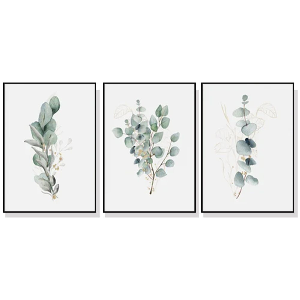 _label_, DSZ Product, feed-cond-new, feed-sl-free shipping, free-shipping, newWall Art 50Cm X 70Cm Eucalyptus Plant 3 Sets Black Frame Canvas - Premium Home & Garden > Wall Art > Posters, Paintings & Prints from Artime ! Shop Online Buy Now at S & D's Value Store Family Business Best Customer Service_label_, DSZ Product, feed-cond-new, feed-sl-free shipping, free-shipping, new