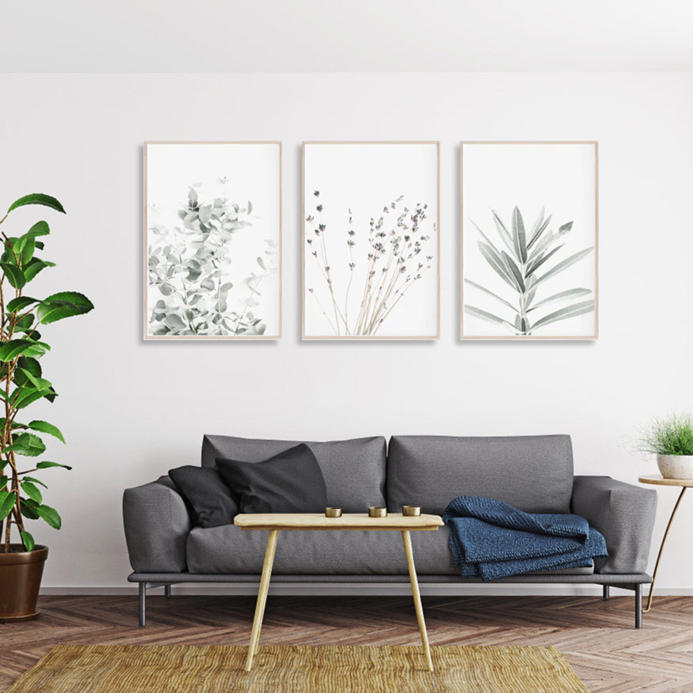 _label_, DSZ Product, feed-cond-new, feed-sl-free shipping, free-shipping, newWall Art 80Cm X 120Cm Lavender Eucalyptus 3 Sets Wood Frame Canvas - Premium Home & Garden > Wall Art > Posters, Paintings & Prints from Artime ! Shop Online Buy Now at S & D's Value Store Family Business Best Customer Service_label_, DSZ Product, feed-cond-new, feed-sl-free shipping, free-shipping, new