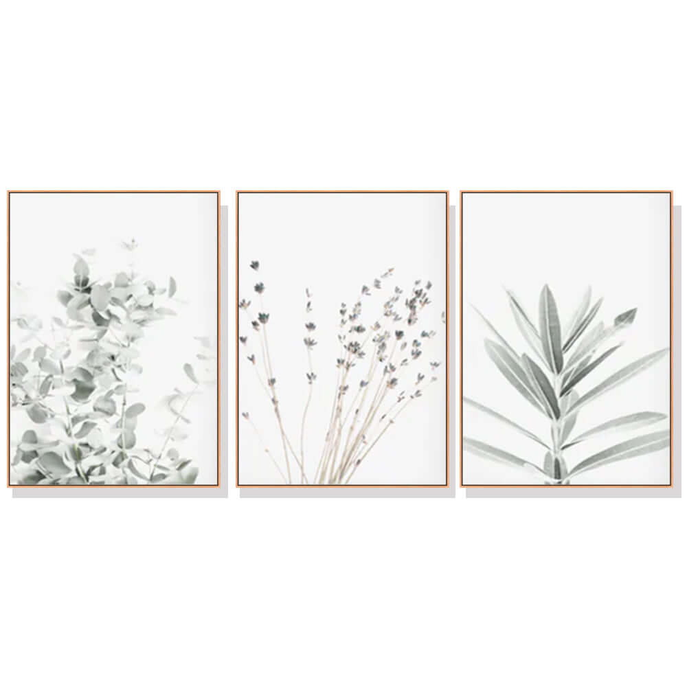 _label_, DSZ Product, feed-cond-new, feed-sl-free shipping, free-shipping, newWall Art 50Cm X 70Cm Lavender Eucalyptus 3 Sets Wood Frame Canvas - Premium Home & Garden > Wall Art > Posters, Paintings & Prints from Artime ! Shop Online Buy Now at S & D's Value Store Family Business Best Customer Service_label_, DSZ Product, feed-cond-new, feed-sl-free shipping, free-shipping, new