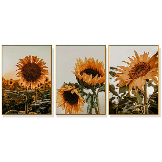 _label_, DSZ Product, feed-cond-new, feed-sl-free shipping, free-shipping, newWall Art 50Cm X 70Cm Sunflower 3 Sets Gold Frame Canvas - Premium Home & Garden > Hobbies > Arts & Crafts from Artime ! Shop Online Buy Now at S & D's Value Store Family Business Best Customer Service_label_, DSZ Product, feed-cond-new, feed-sl-free shipping, free-shipping, new