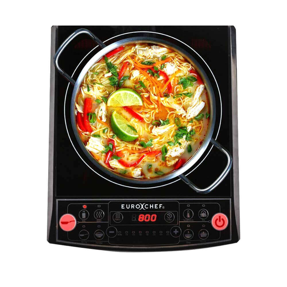 EuroChef induction cooktop with a pot of colorful broth and fresh ingredients, showcasing affordable quality cooking.