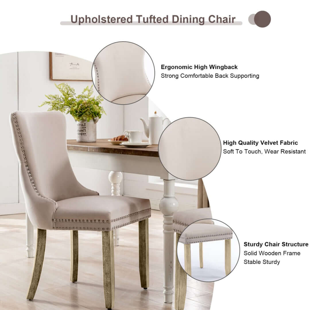 Velvet upholstered dining chair with high wingback, velvet fabric, and solid wood legs in a modern kitchen environment.