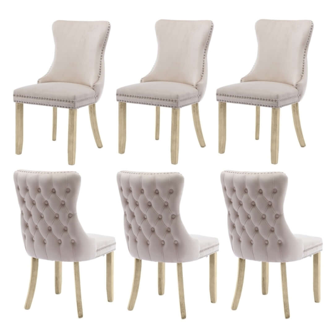 Velvet upholstered dining chairs with tufted wingback design, studded trim, and solid wood legs for kitchen or dining room, set of 6