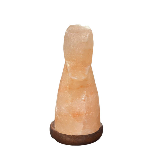 _label_, DSZ Product, feed-cond-new, feed-sl-free shipping, free-shipping12V 12W Horse Himalayan Pink Salt Lamp Carved Knight Rock Crystal Light Bulb On/Off - Premium Home & Garden > Lighting > Table Lamps from Orku ! Shop Online Buy Now at S & D's Value Store Family Business Best Customer Service_label_, DSZ Product, feed-cond-new, feed-sl-free shipping, free-shipping