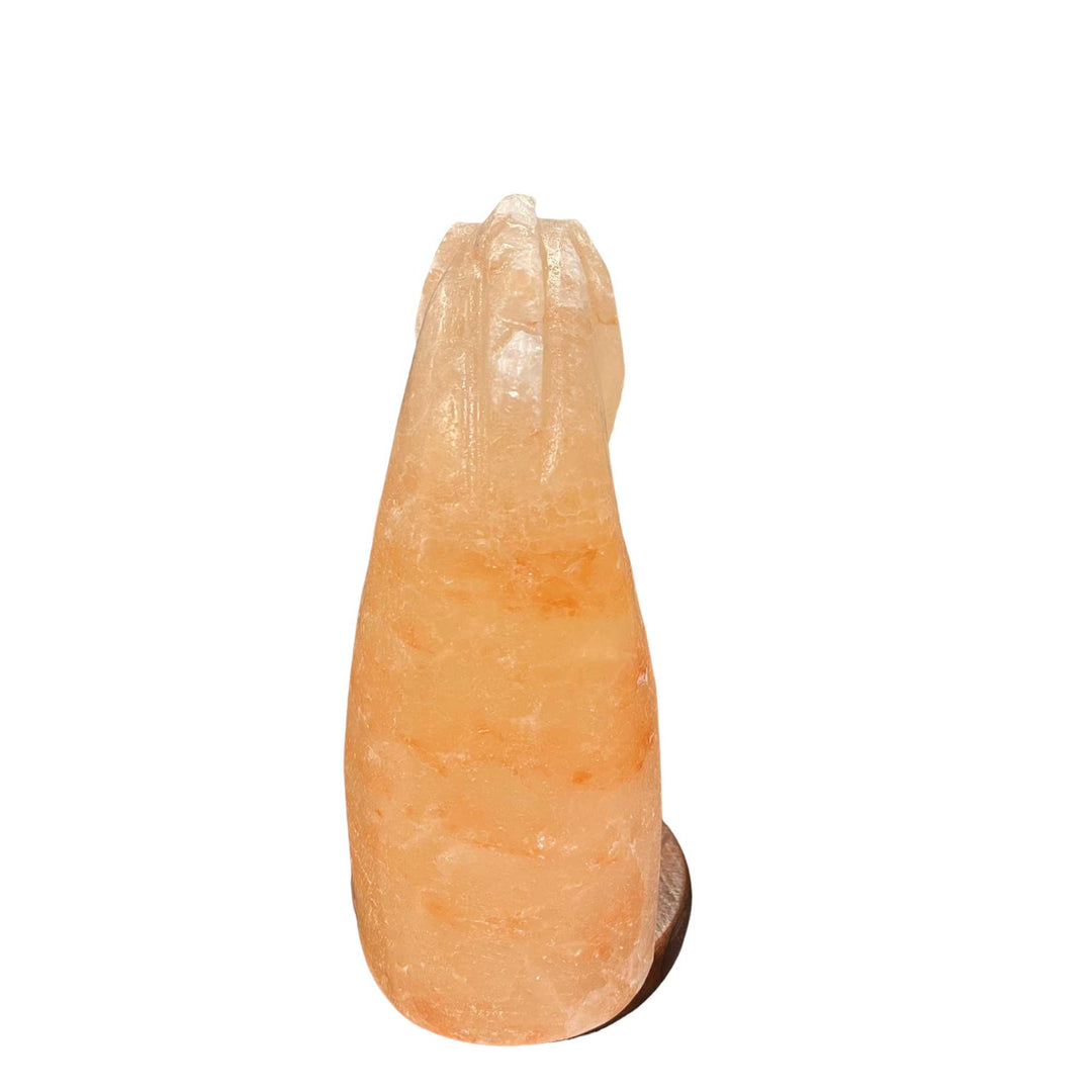 _label_, DSZ Product, feed-cond-new, feed-sl-free shipping, free-shipping12V 12W Horse Himalayan Pink Salt Lamp Carved Knight Rock Crystal Light Bulb On/Off - Premium Home & Garden > Lighting > Table Lamps from Orku ! Shop Online Buy Now at S & D's Value Store Family Business Best Customer Service_label_, DSZ Product, feed-cond-new, feed-sl-free shipping, free-shipping