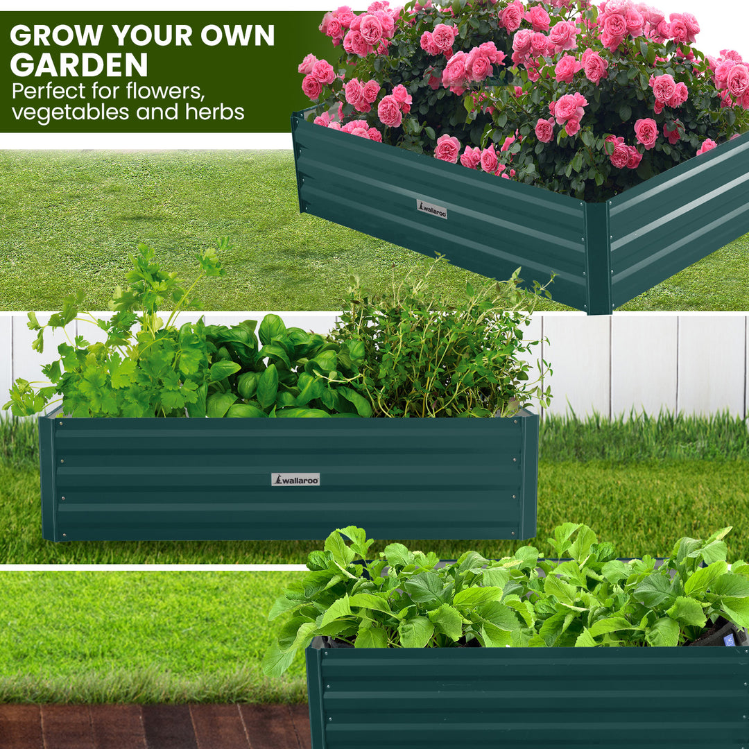 DSZ Product, feed-cond-new, feed-sl-DSZ Freight Payable, newWallaroo Garden Bed 210 X 90 X 30Cm Galvanized Steel - Green - Premium Furniture > Bedroom > Beds & Bed Frames from Wallaroo ! Shop Online Buy Now at S & D's Value Store Family Business Best Customer ServiceDSZ Product, feed-cond-new, feed-sl-DSZ Freight Payable, new