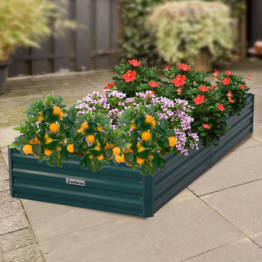 DSZ Product, feed-cond-new, feed-sl-DSZ Freight Payable, newWallaroo Garden Bed 210 X 90 X 30Cm Galvanized Steel - Green - Premium Furniture > Bedroom > Beds & Bed Frames from Wallaroo ! Shop Online Buy Now at S & D's Value Store Family Business Best Customer ServiceDSZ Product, feed-cond-new, feed-sl-DSZ Freight Payable, new