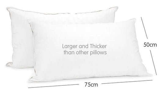 _label_, DSZ Product, feed-cond-new, feed-sl-free shipping, free-shippingLaura Hill Duck Down Feather Pillow Twin Set - 1.3Kg - Premium Home & Garden > Bedding > Pillows from Laura Hill ! Shop Online Buy Now at S & D's Value Store Family Business Best Customer Service_label_, DSZ Product, feed-cond-new, feed-sl-free shipping, free-shipping