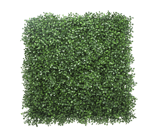 DSZ Product, feed-cond-new, feed-sl-DSZ Freight Payable, newYes4Homes 12 X Artificial Plant Wall Grass Panels Vertical Garden Tile Fence 50 X 50Cm Green - Premium Home & Garden > Artificial Plants > Artificial Wall Plants from Yes4Homes ! Shop Online Buy Now at S & D's Value Store Family Business Best Customer ServiceDSZ Product, feed-cond-new, feed-sl-DSZ Freight Payable, new