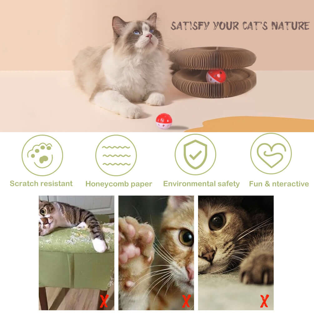 Cat playing with scratching board, showcasing interactive and fun features for natural scratching behavior.