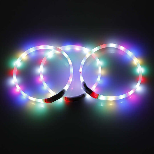 3 colorful LED dog collars glowing in the dark, providing safety for pets at night.