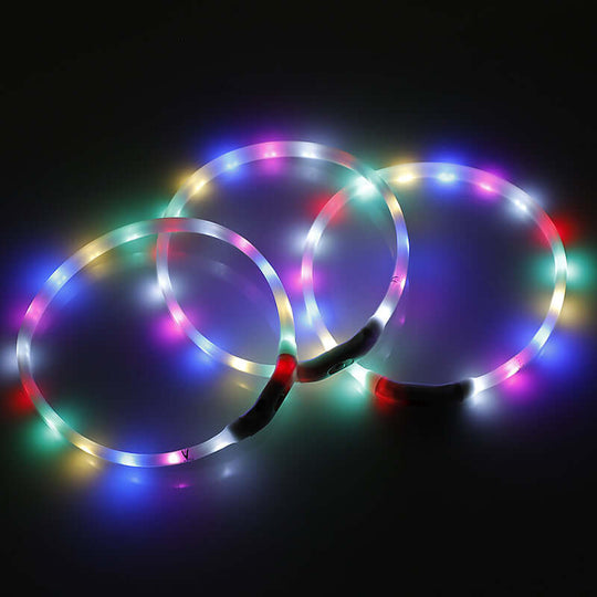 3 colorful LED dog collars for night safety, rechargeable, affordable and stylish pet accessories.