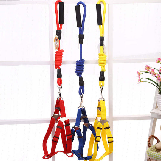 YES4PETS pet harness and leash set in red, blue, and yellow; affordable, comfortable design for medium dogs.