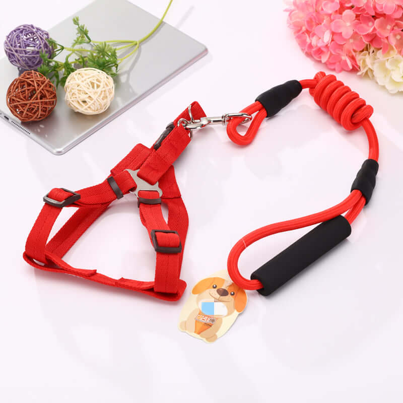 YES4PETS 2 x Medium Pet Dog Harness and Leash in Red, affordable and comfortable for dogs 10-25 kg.