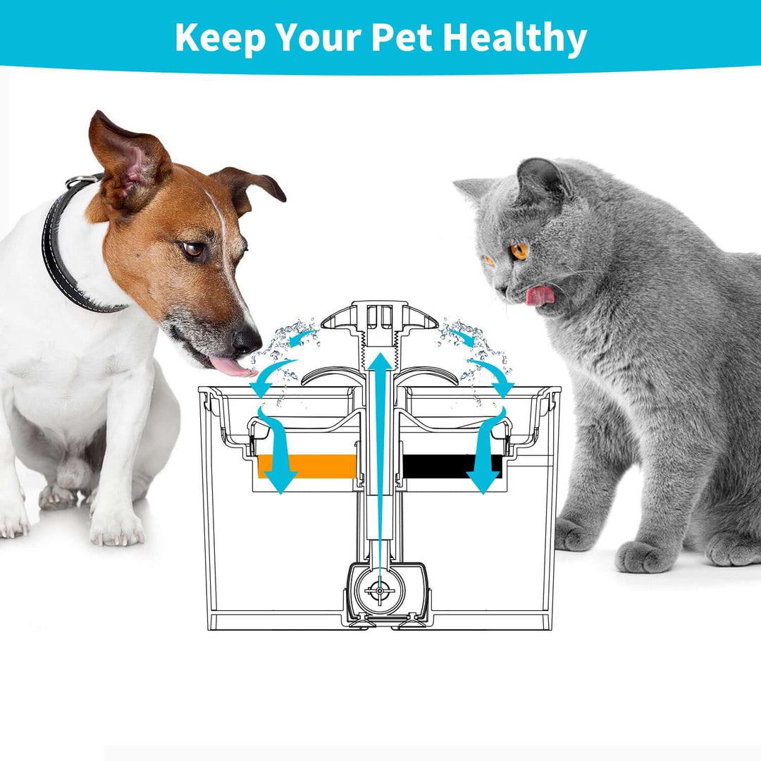 Pet fountain diagram showing a dog and cat drinking, promoting health with triple filtration system.