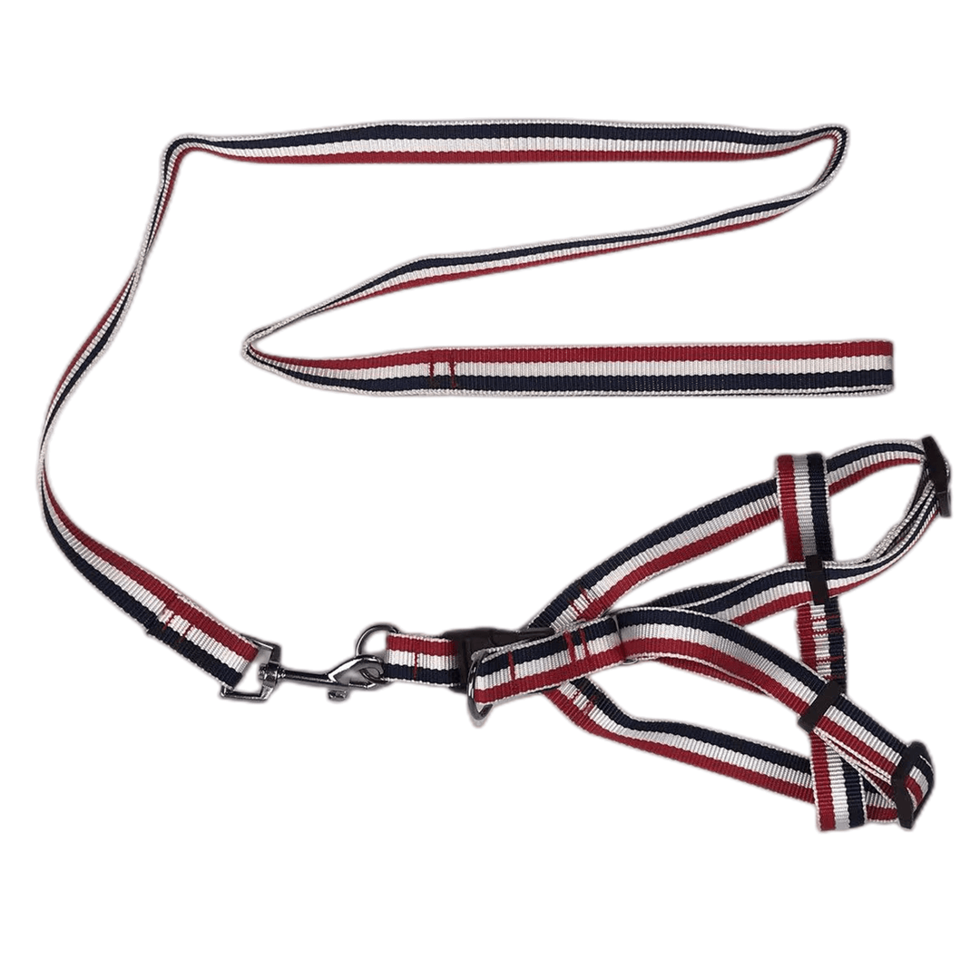 Affordable 2 X Large pet dog harness and leash set in stylish red and navy design, suitable for dogs 15-25 kg.