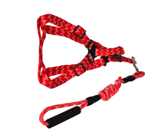 Red pet dog harness and leash set, affordable quality design for medium dogs and cats.