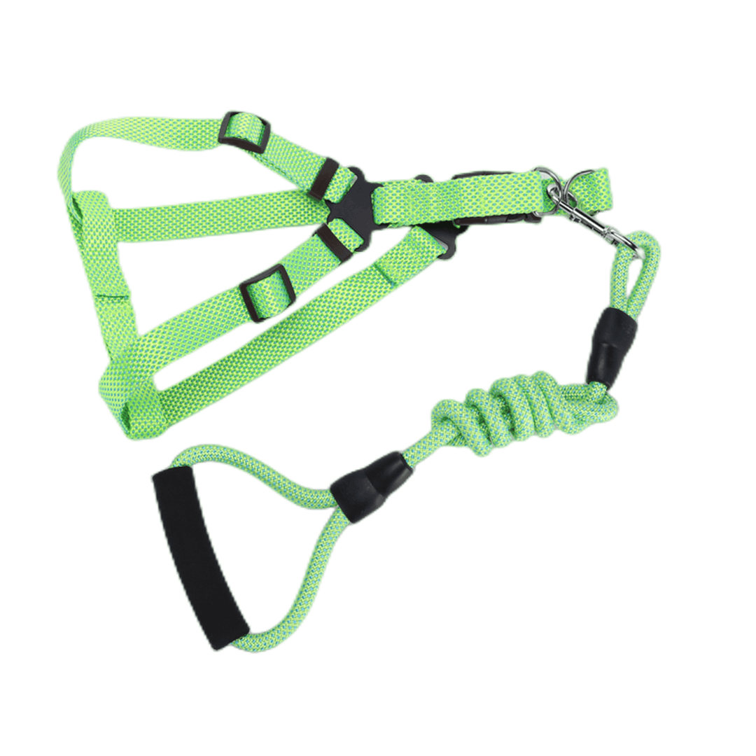 Affordable green dog harness and leash set, made for comfort and durability in outdoor activities.