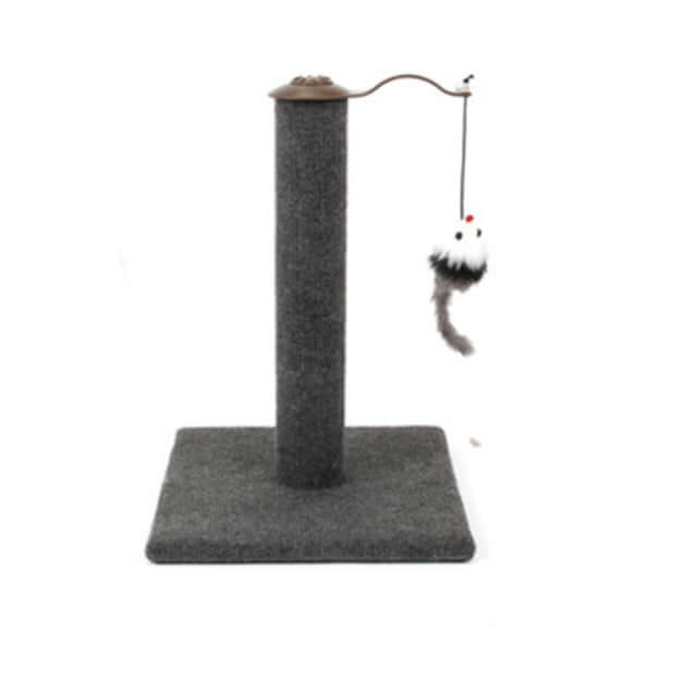 Affordable YES4PETS cat scratching post with plush toy, quality design for kittens, easy DIY assembly, grey color.