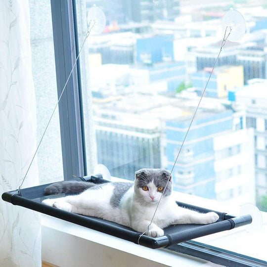 Cat lounging on a durable window mounted hammock perch, enjoying the view from indoors.