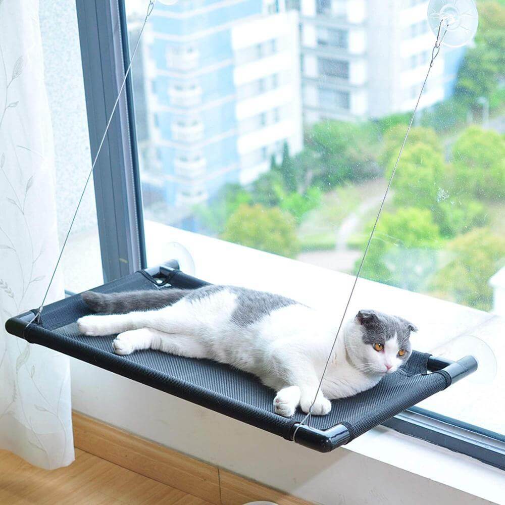 Affordable and durable window-mounted cat hammock, perfect for multiple cats, holding up to 20kg for ultimate relaxation.