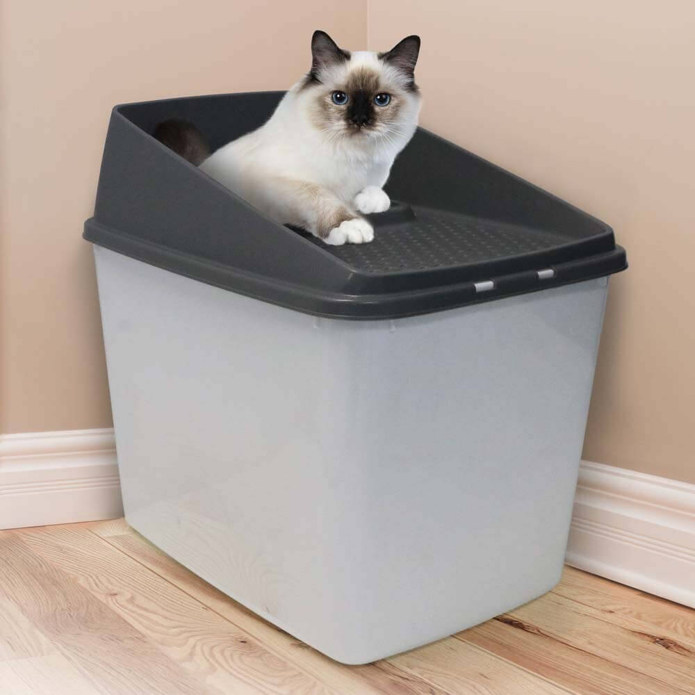 XL top entry cat litter box with a cozy cat resting on top, designed for minimal mess and easy cleaning.