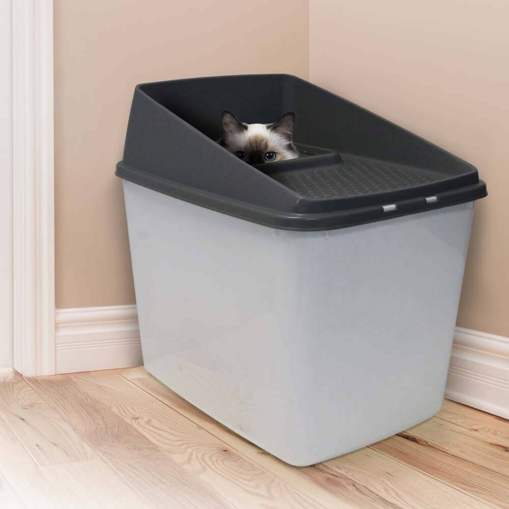 XL top entry cat litter box in corner with curious cat peeking out, designed for easy cleaning and minimal mess.