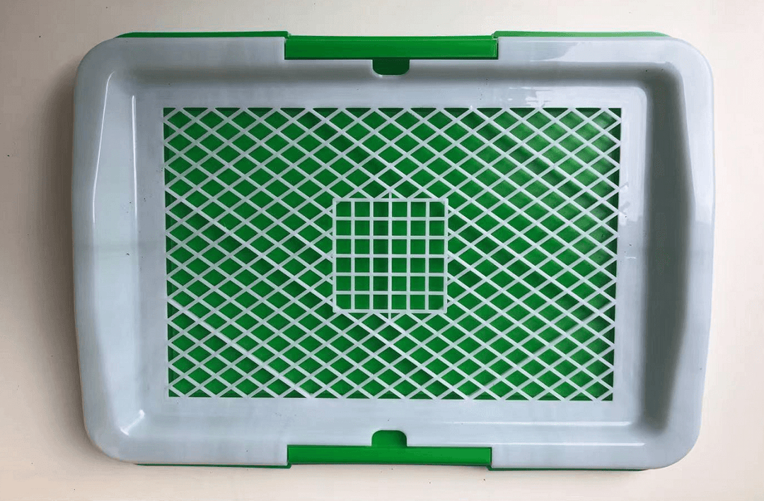 Small portable dog potty training tray with green grid on white background for easy puppy training.