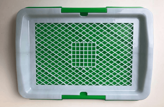 Small portable dog potty training tray with green grid on white background for easy puppy training.