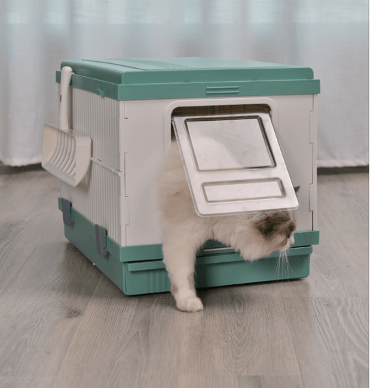 Cat emerging from a YES4PETS XL portable litter box tray, showcasing affordable, quality design in green.