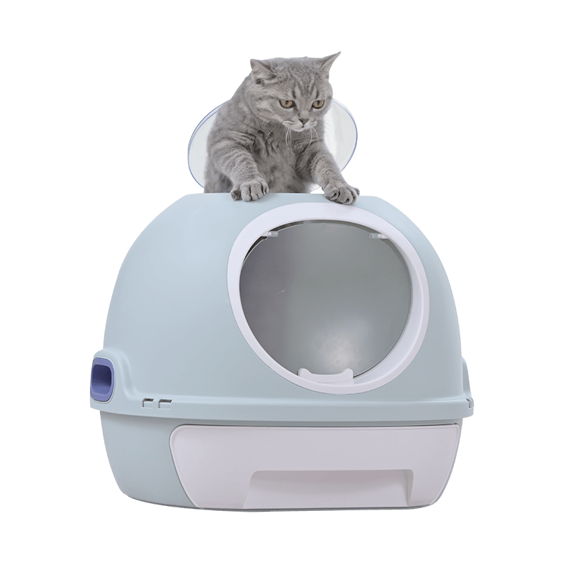 Hooded blue cat litter box tray with a grey cat on top, designed for privacy and odor control, affordable quality pet solution.