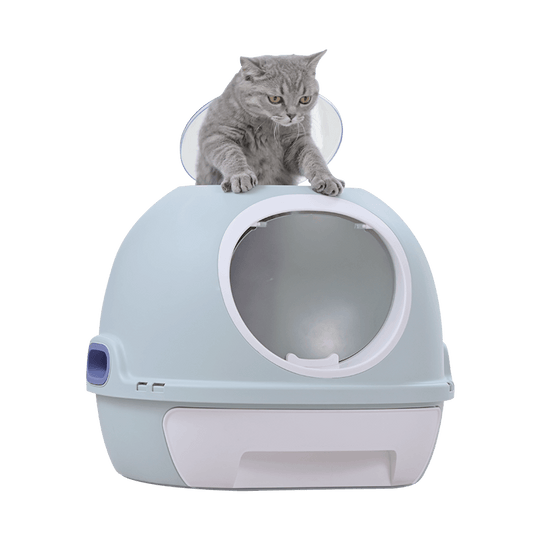 Hooded blue cat litter box tray with a grey cat on top, designed for privacy and odor control, affordable quality pet solution.