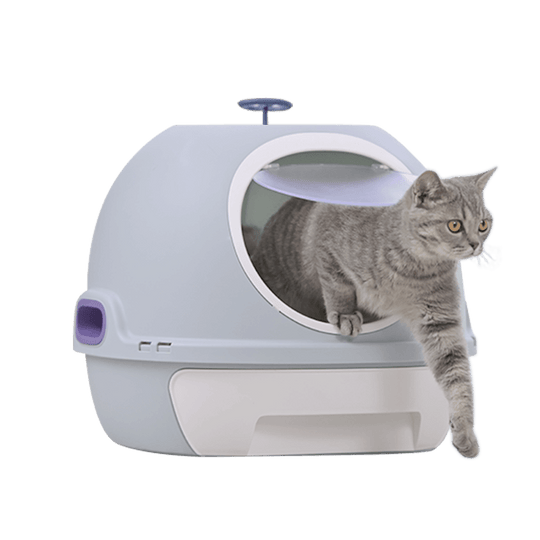 Hooded cat litter box in blue with a gray cat exiting, designed for privacy and reduced litter scatter. Affordable quality pet solution.