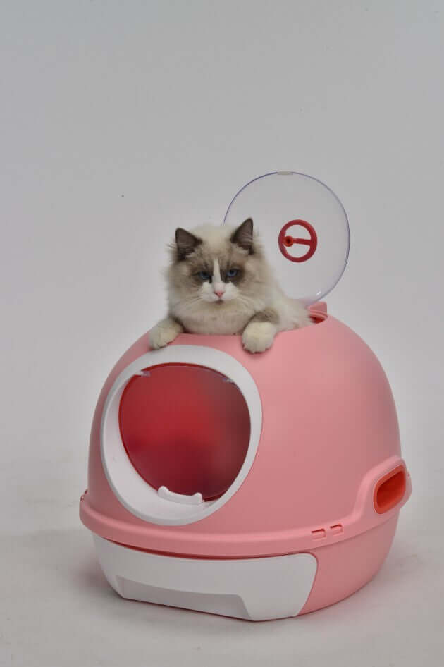 Cat lounging on a stylish pink hooded litter box with a drawer and scoop, showcasing an affordable and quality design.