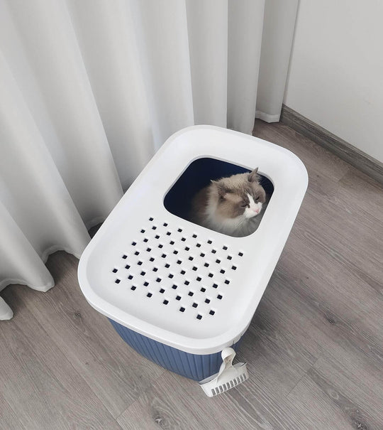 Cat sitting in YES4PETS XXL Top Entry Litter Box, dark blue, enclosed design for mess-free use.