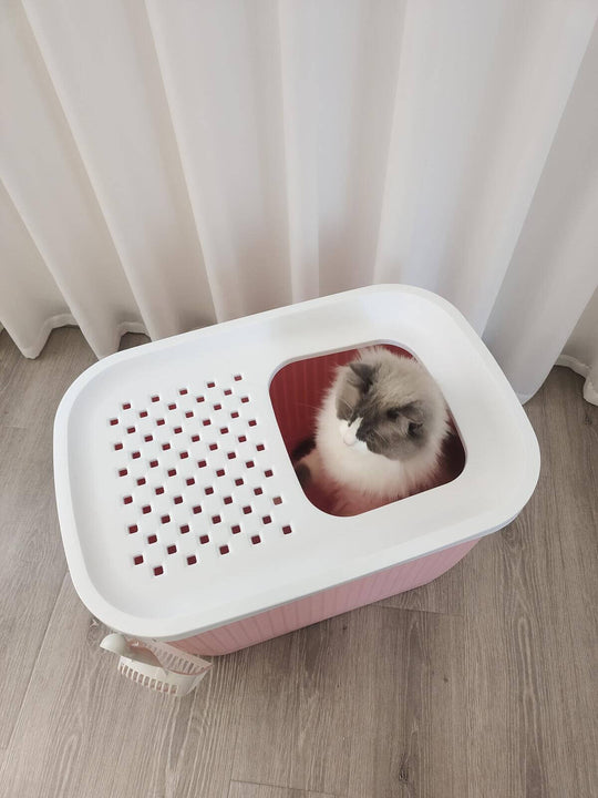 XXL pink top entry cat litter box with cat inside, designed for mess-free and hygienic litter experience.