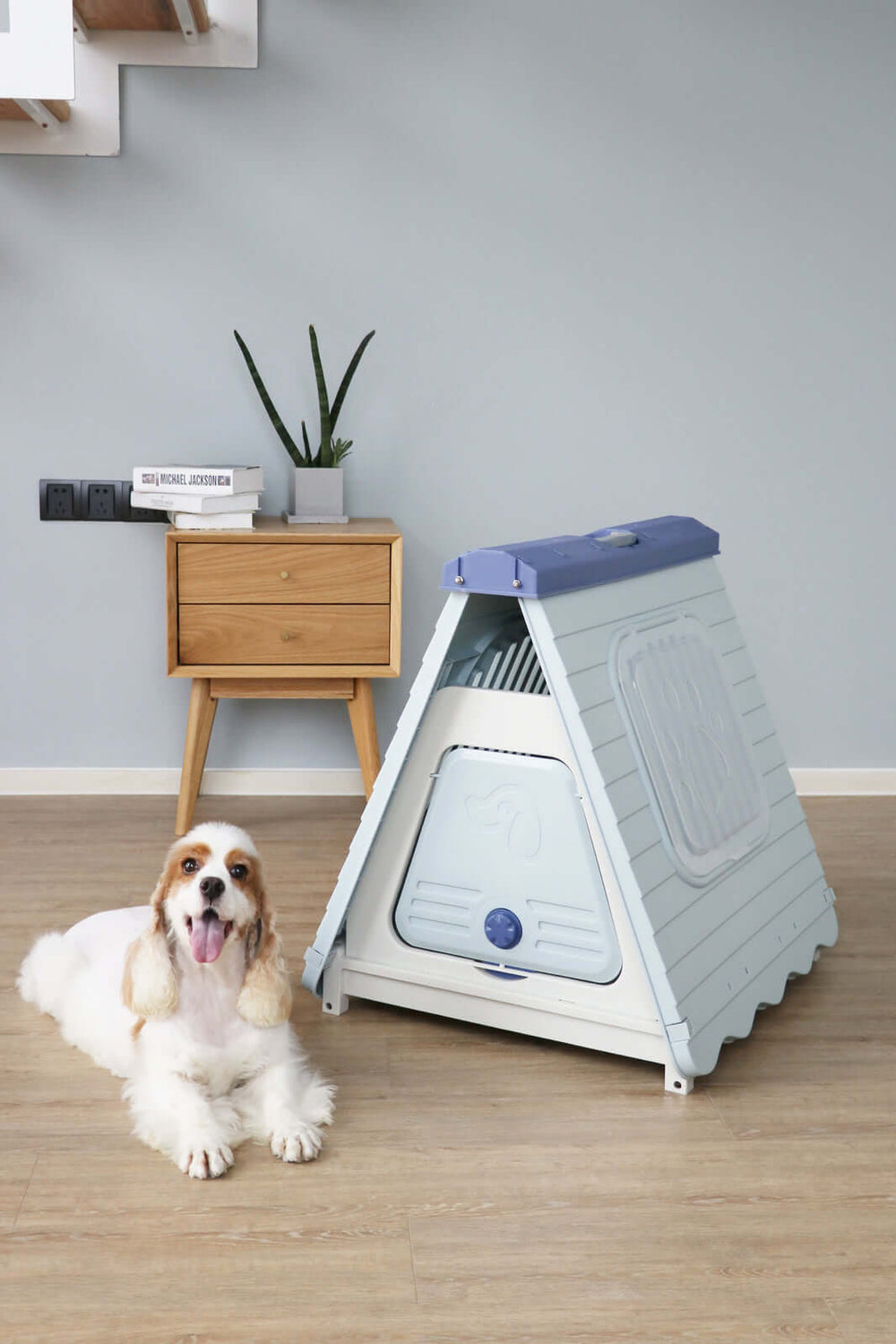 Small foldable blue plastic pet dog kennel with a happy dog beside it in a stylish room.