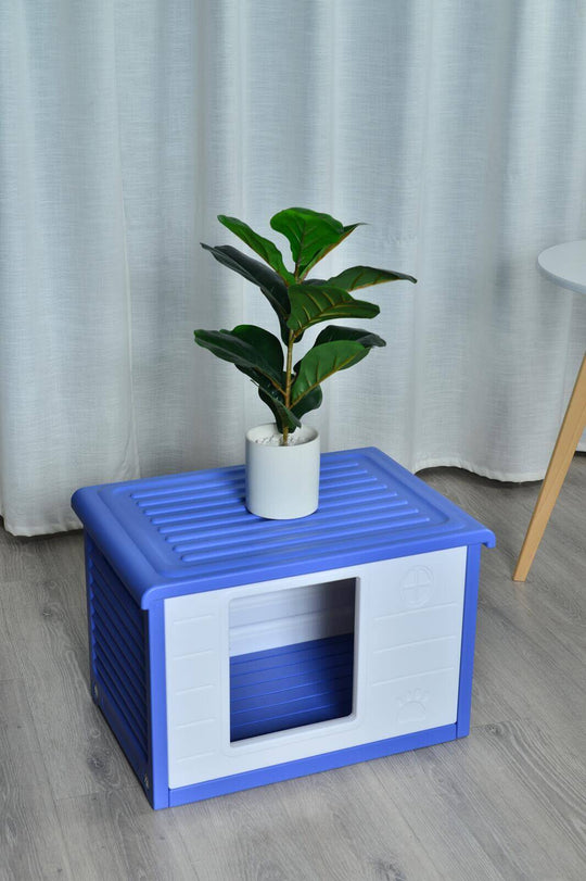 Blue plastic dog house with raised floor and a potted plant on top, ideal for small pets.