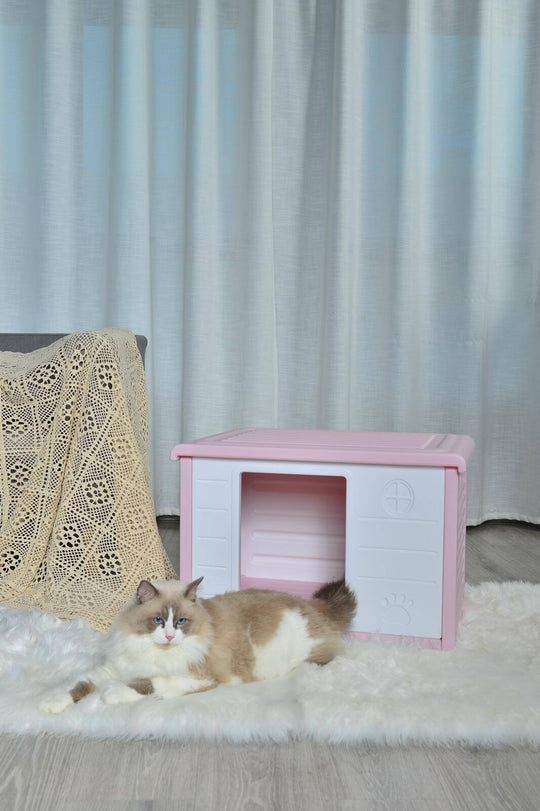 Cozy pink plastic dog house kennel with a fluffy cat lounging nearby on soft fur rug.