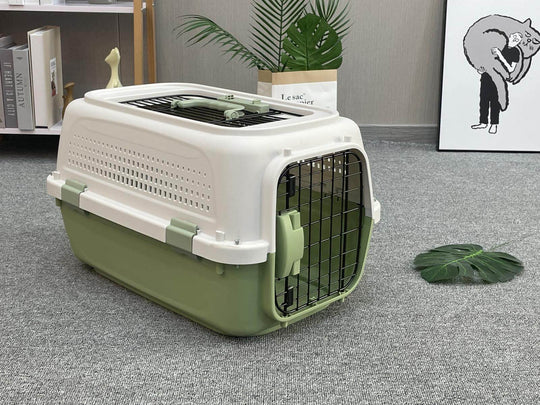 Affordable YES4PETS Medium Pet Carrier in green, ideal for dogs, cats, and rabbits, featuring durability and ergonomic design.