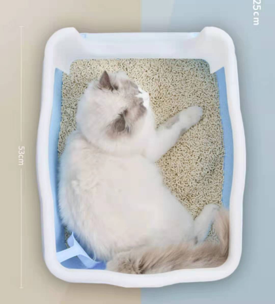 Large blue cat litter tray with high walls and a fluffy cat lounging inside, designed to contain litter mess and reduce tracking.