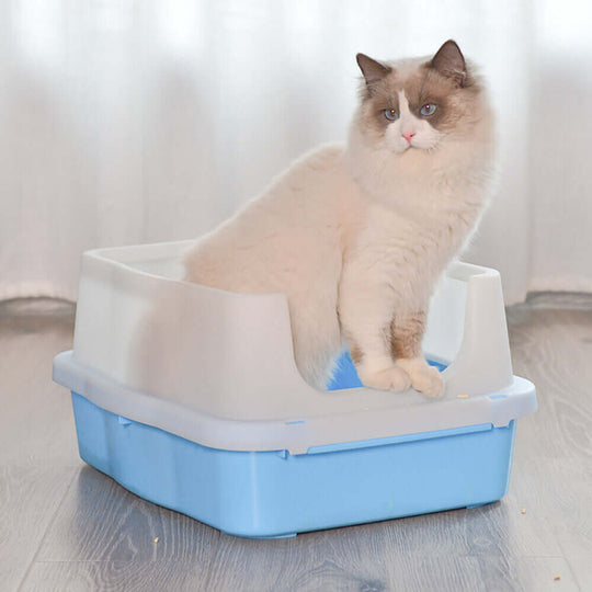 Large blue cat litter tray with high walls and a cat sitting inside, designed for cleanliness and comfort.