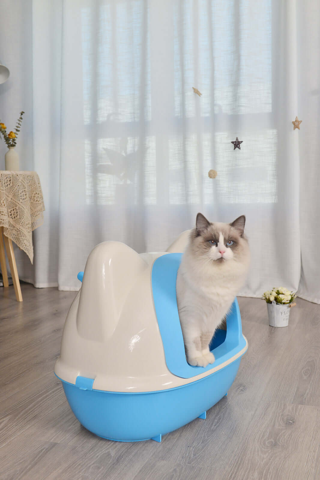 Large hooded cat litter box tray in blue, offering privacy and easy access for cats, featured in a stylish home setting.